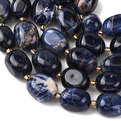 Natural Sodalite Beads Strands&nbsp;G-G453-D02-01