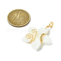 Natural Carved Freshwater Shell Pendants&nbsp;PALLOY-JF03391