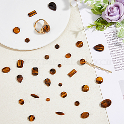 32Pcs 12 Styles Natural Tiger Eye Cabochons&nbsp;G-FH0002-20