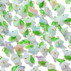 Acrylic Flower Charms&nbsp;PALLOY-CJ00025