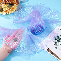 5 Yards Polyester Ruffled Ribbon&nbsp;OCOR-TA0004-06D