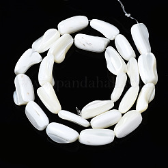 Natural Trochid Shell/Trochus Shell Beads Strands&nbsp;SSHEL-S266-014A