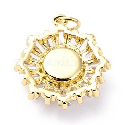 Brass Micro Pave Cubic Zirconia Pendants&nbsp;ZIRC-O044-21E-G