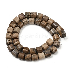 Natural Picture Jasper Beads Strands&nbsp;G-G275-D19-10x10mm