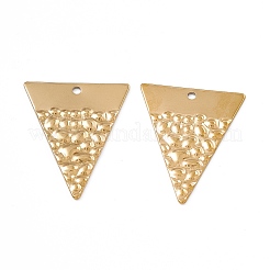 Ion Plating(IP) 304 Stainless Steel Pendants&nbsp;STAS-B031-20G
