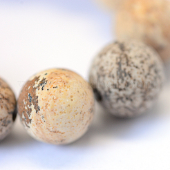 Frosted Natural Picture Jasper Round Bead Strands&nbsp;X-G-E334-6mm-26