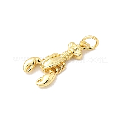 Brass Pendants&nbsp;KK-I364-06G-04