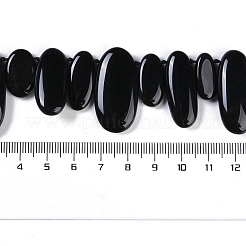 Natural Black Gemstone Beads Strands&nbsp;G-Q164-A01-02