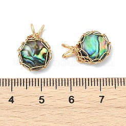 Natural Paua Shell Copper Wire Wrapped Pendants&nbsp;PALLOY-JF05610