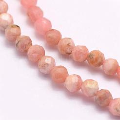 Natural Rhodonite Beads Strands&nbsp;G-F509-41-2mm