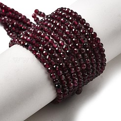 Natural Garnet Beads Strands&nbsp;X-G-I341-09B-01