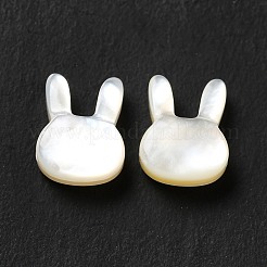 Natural White Shell Beads&nbsp;SHEL-G014-12
