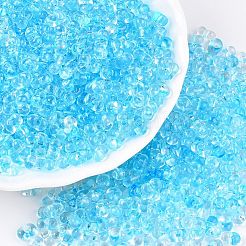 Spray Painted Glass Seed Beads&nbsp;SEED-T007-08B