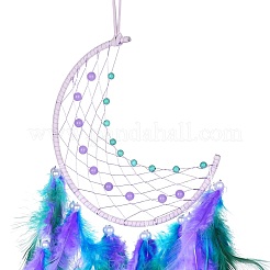 Iron Woven Web/Net with Feather Pendant Decorations&nbsp;AJEW-P097-06