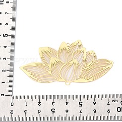 Iron Connector Charms&nbsp;IFIN-N013-01G