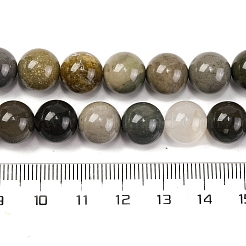 Natural Picture Jasper Beads Strands&nbsp;G-H037-A01-03