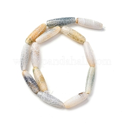 Natural Weathered Agate Beads Strands&nbsp;G-P570-C02-01