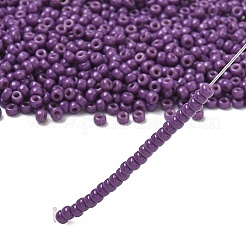 MIYUKI Round Rocailles Beads&nbsp;X-SEED-G008-RR4490