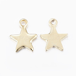 304 Stainless Steel Charms&nbsp;X-STAS-H436-51