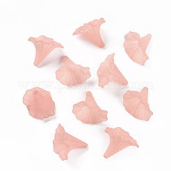 Transparent Acrylic Beads&nbsp;BSF796-C11