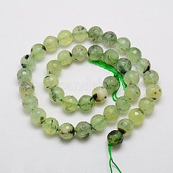 Natural Prehnite Beads Strands&nbsp;G-G457-6mm-03F