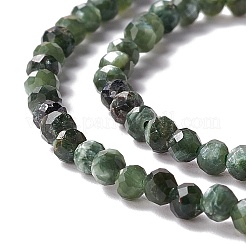 Natural Seraphinite Beads Strands&nbsp;G-A021-07B