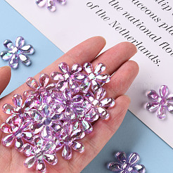 Transparent Acrylic Beads&nbsp;TACR-S154-35C-935