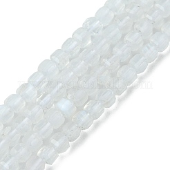 Natural Rainbow Moonstone Beads Strands&nbsp;G-F748-Z01-01