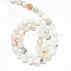 Natural Agate Bead Strands&nbsp;G-R346-8mm-26