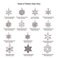 Tibetan Style Alloy Big Pendants&nbsp;TIBE-CJ0001-04
