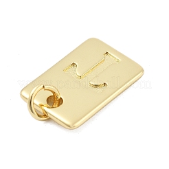 Brass Pendants&nbsp;KK-H206-10G-T