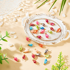 30Pcs Dyed Natural Freshwater Shell Pendants&nbsp;PALLOY-TAC0319