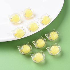 Transparent Acrylic Beads&nbsp;X1-MACR-S373-115-B05