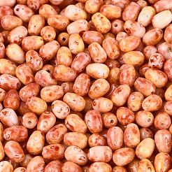 Picasso Glass Seed Beads&nbsp;SEED-N012-10C