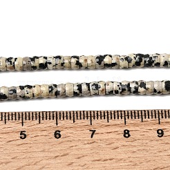 Natural Dalmatian Jasper Heishi Beads Strands&nbsp;G-A299-A12-01