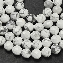 Natural Howlite Beads Strands&nbsp;G-F812-B01-01