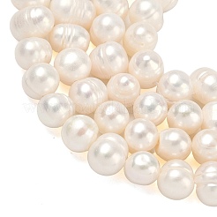 Natural Cultured Freshwater Pearl Beads Strands&nbsp;PEAR-L034-10B