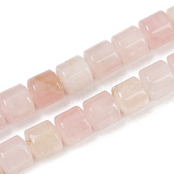 Natural Rose Quartz Beads Strands&nbsp;G-G275-D09-10x10mm