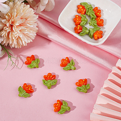 12Pcs Handmade Lampwork Beads&nbsp;LAMP-PA0001-03A