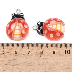Transparent & Opaque Resin Pendants&nbsp;RESI-P048-02C-P