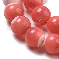 Dyed Natural Trochus Shell Beads Strands&nbsp;BSHE-G034-25A