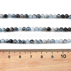 Natural Devil Blue Aquamarine Beads Strands&nbsp;G-K376-A06-4mm