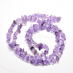Natural Amethyst Chip Bead Strands&nbsp;X-G-M205-58