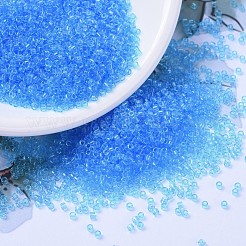 MIYUKI Delica Beads&nbsp;SEED-JP0008-DB1109