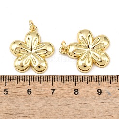 Brass Pendants&nbsp;KK-L251-28G