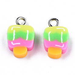 Handmade Polymer Clay Charms&nbsp;CLAY-T016-56