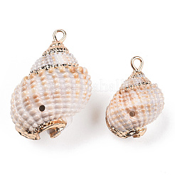 Electroplated Natural Spiral Shell Pendants&nbsp;SSHEL-T009-16-A01