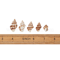 Spiral Shell Pendants&nbsp;SSHEL-TA0001-02