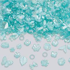 200g Transparent Acrylic Beads&nbsp;OACR-SP0001-86E
