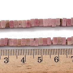 Natural Rhodonite Beads Strands&nbsp;G-A280-C05-01